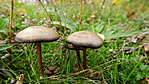 DSCN0463kicsi