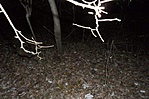 Vakuval II.