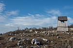 _DSC6406