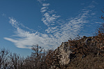 _DSC6409