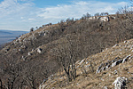 _DSC6400