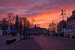 _DSC6555