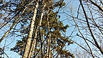 GCSICA_20161231124954.jpg