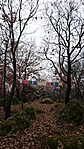 GCBABK_2016129104414.jpg