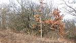 20161210_120823