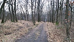 20161210_133431