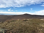 IMG_0506