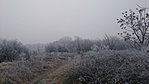 20161217_080839