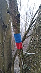 20161217_081325