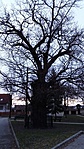 20161227_153708