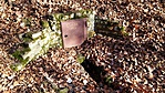 20161228_094929