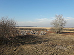 20161211_115530