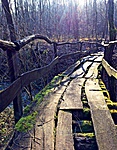 gcjagi-IMG_4619