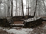 IMG_2510