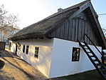IMG_0230