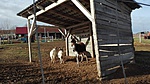 IMG_20161228_114040