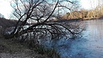 IMG_20161229_142117