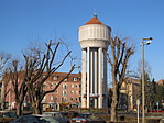 IMG_0562
