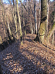 IMG_0598