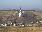 IMG_0764