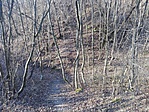IMG_20161211_104002