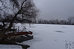 DSC05505