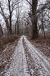 DSC05507