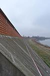 DSC05534