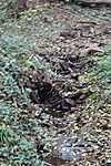 DSC04850