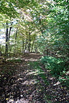 DSC04835