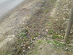 20161210_124328