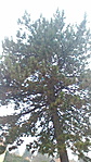 P_20161226_083530