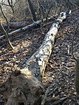 20161230_134302