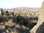 Panoráma
