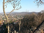 Panoráma