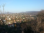 Panoráma
