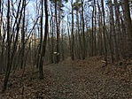 IMG_7962