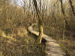 IMG_7969