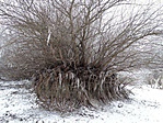 DSC04866