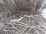 DSC04868