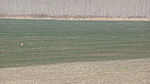P1170170