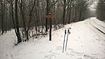 WP_20170130_003