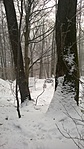 WP_20170130_005