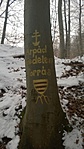 WP_20170130_008