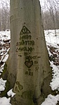 WP_20170130_009