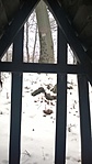 WP_20170130_011