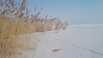 IMG_20170110_143538