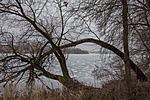 _DSC6983