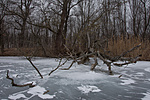 _DSC6972