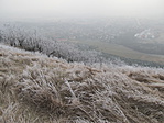 IMG_7332